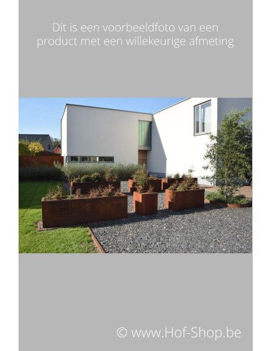 Carrez 200 x 100 x 40 cm - Jardinière Adezz en acier Corten