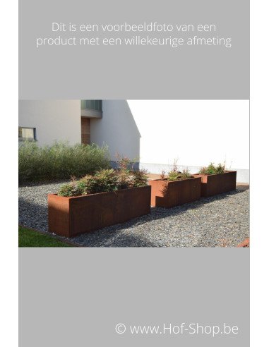 Carrez 200 x 100 x 40 cm - Jardinière Adezz en acier Corten