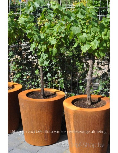 Conic 100 x 60 cm -  Jardinière Adezz en acier Corten