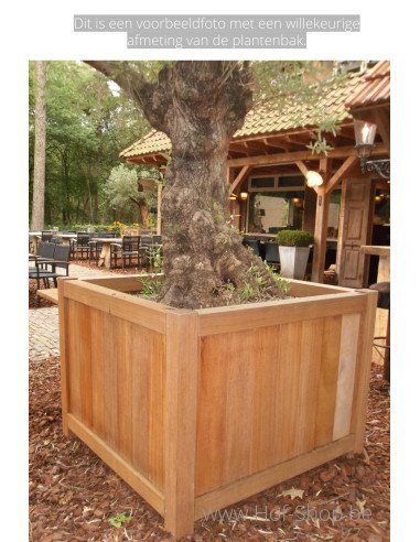 Valencia 200 x 50 x 60 cm - Jardinière Adezz en bois dur