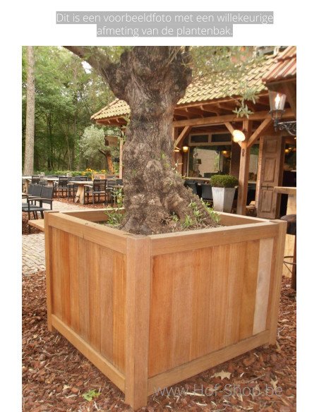 Valencia 150 x 50 x 60 cm - Jardinière Adezz en bois dur