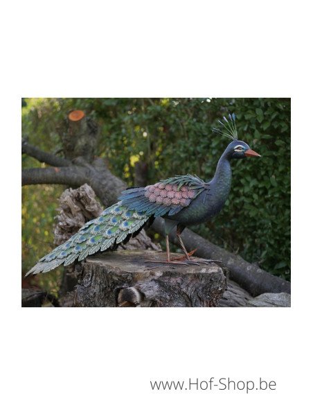 Pauw - metalen figuur (MD18213)