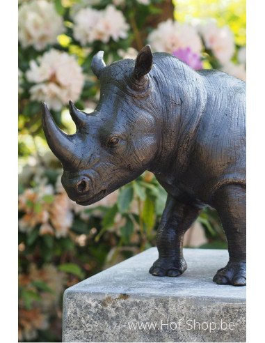 MODÈLE DE SALLE D'EXPOSITION Rhinocéros - statue en bronze (AN1352BR-B)