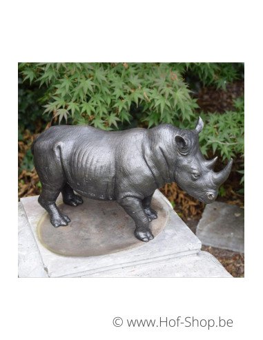 MODÈLE DE SALLE D'EXPOSITION Rhinocéros - statue en bronze (AN1352BR-B)