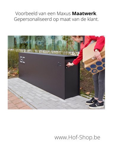 Maxus Maatwerk mét pakketdeur - Pakketmuur eSafe - pakketbus aluminium