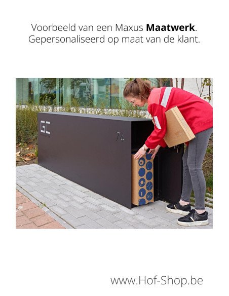 Maxus Single 1100 avec porte à paquets - eSafe boîte à colis aluminium