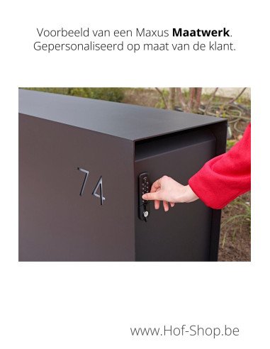 Maxus Maatwerk mét pakketdeur - Pakketmuur eSafe - pakketbus aluminium