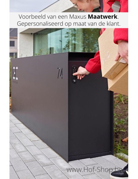 Maxus Single 1100 avec porte à paquets - eSafe boîte à colis aluminium
