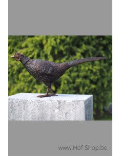 Faisan - statue en bronze (AN1329BR-B)