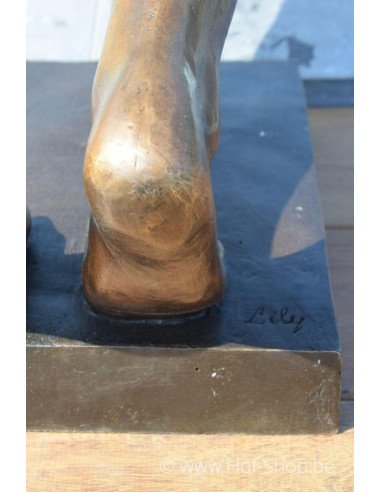 Lily plonge dans l'eau - statue en bronze (B1416)