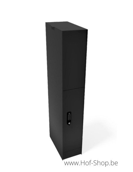 Fenix Top Medium digital avec une couleur de votre choix - eSafe boîte à colis aluminium avec serrure DCL