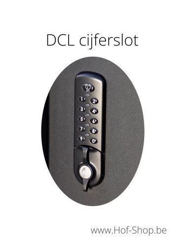 Fenix Top Medium digital avec une couleur de votre choix - eSafe boîte à colis aluminium avec serrure DCL
