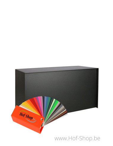 Bulkbox Connect met RAL-kleur - XXL eSafe pakketbus aluminium