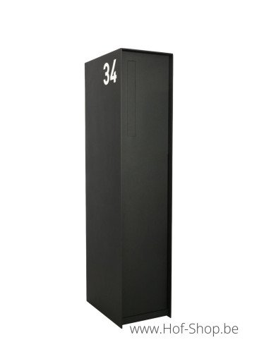 Fenix Front Back Doors RAL 9005 - eSafe pakketbus aluminium