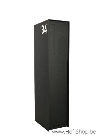 Fenix Front Back Doors RAL 9005 - eSafe pakketbus aluminium