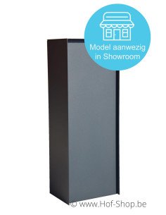 MODÈLE SHOWROOM Dropbox Small RAL 7021 Back Door - eSafe boîte à colis aluminium
