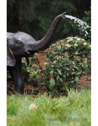 Kleine olifant (66 cm hoog) - bronzen beeld (B753)