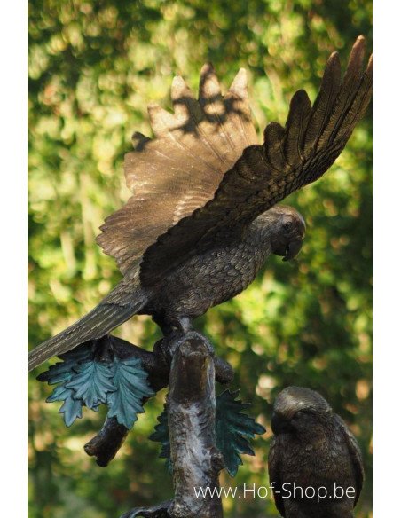 Perroquets sur un arbre - statue en bronze (B777)