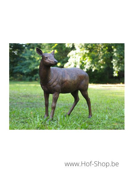 Cerf femelle - statue en bronze (B971-1)