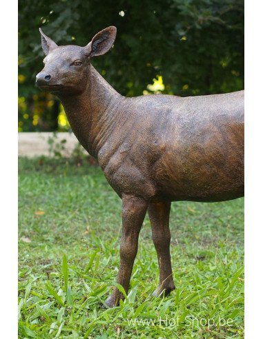 Cerf femelle - statue en bronze (B971-1)