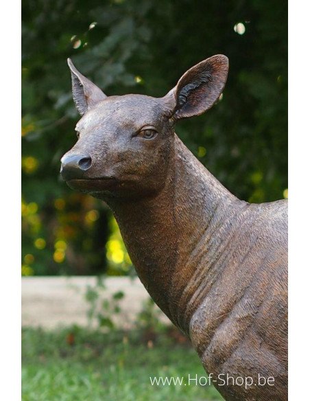 Cerf femelle - statue en bronze (B971-1)