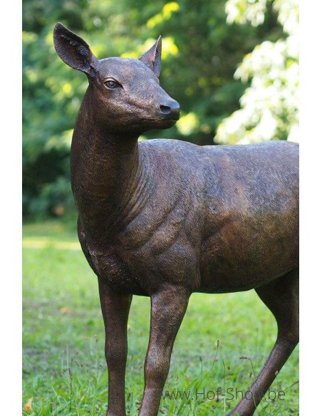 Cerf femelle - statue en bronze (B971-1)
