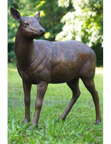 Cerf femelle - statue en bronze (B971-1)