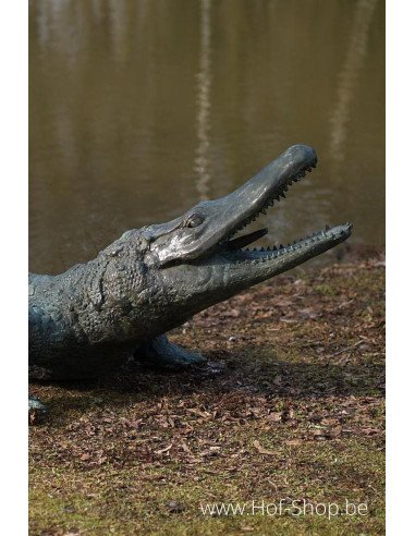 Alligator - statue en bronze (B844)