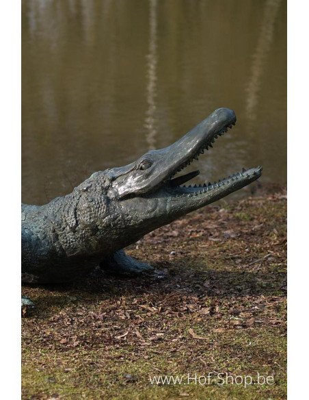 Alligator - statue en bronze (B844)