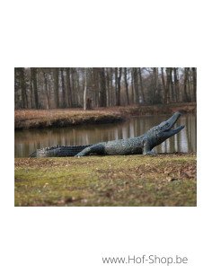 Alligator - statue en bronze (B844)