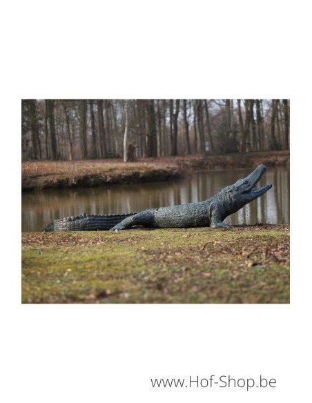 Alligator - statue en bronze (B844)