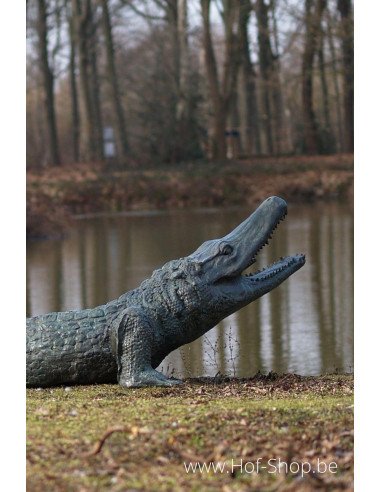 Alligator - statue en bronze (B844)