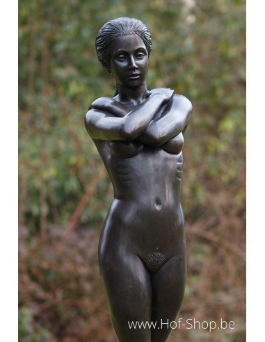 Staand naakt - bronzen beeld (B675)