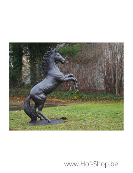 Steigerend paard - bronzen beeld (B910)
