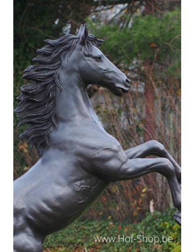 Cheval d'élevage - sculpture en bronze (B910)