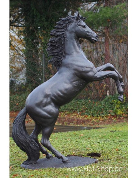 Cheval d'élevage - sculpture en bronze (B910)
