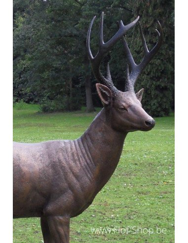 Cerf male - statue en bronze (B971)