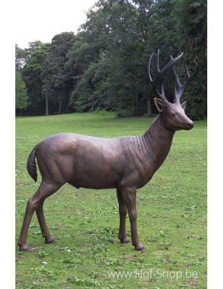 Cerf male - statue en bronze (B971)