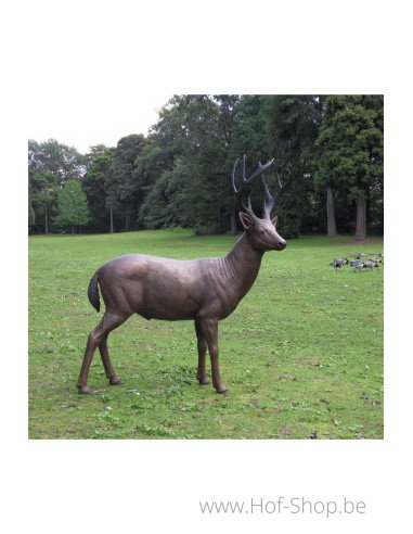 Mannelijk hert - bronzen beeld (B971)