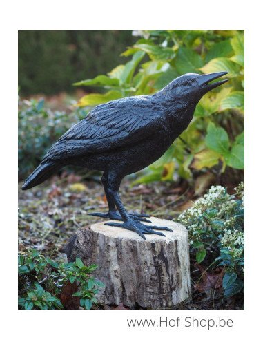 Femme corbeau - statue en bronze (B50420)