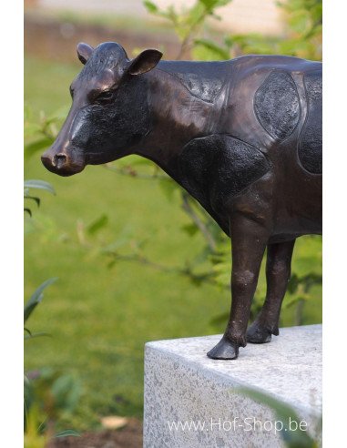 Koe - bronzen beeld (B91154)