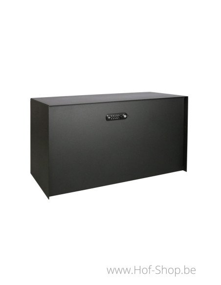 Bulkbox RAL 9005 - XXL eSafe boîte à colis aluminium