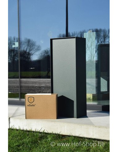 Dropbox Small RAL 6009 - eSafe pakketbus aluminium