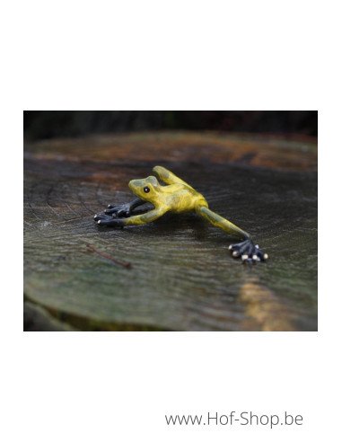 Grenouille verte - statue en bronze (AN0576BR-HP)