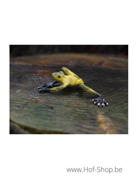Grenouille verte - statue en bronze (AN0576BR-HP)