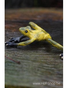 Grenouille verte - statue en bronze (AN0576BR-HP)