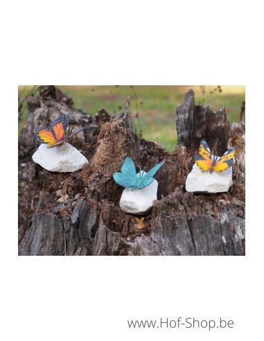 Papillon coloré sur pierre - statue en bronze (AN0748BR-P)