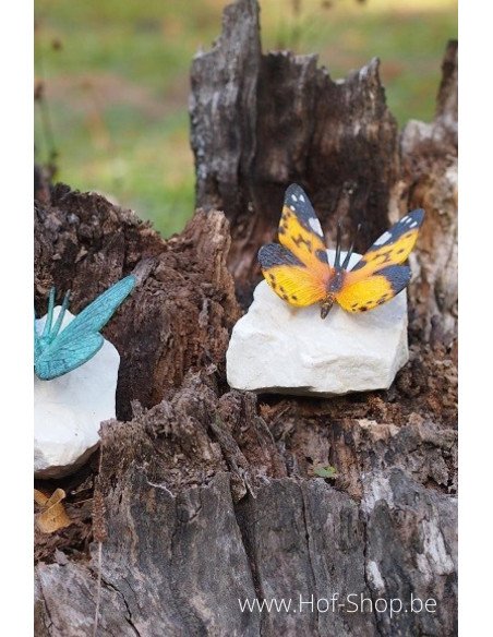 Papillon coloré sur pierre - statue en bronze (AN0748BR-P)