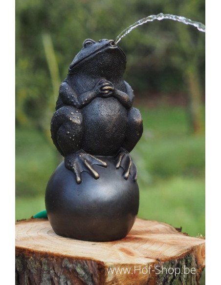 Kikker op bal - bronzen beeld (AN0926BR-B-F)