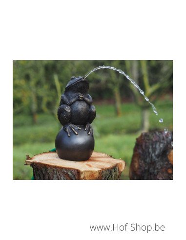 Kikker op bal - bronzen beeld (AN0926BR-B-F)